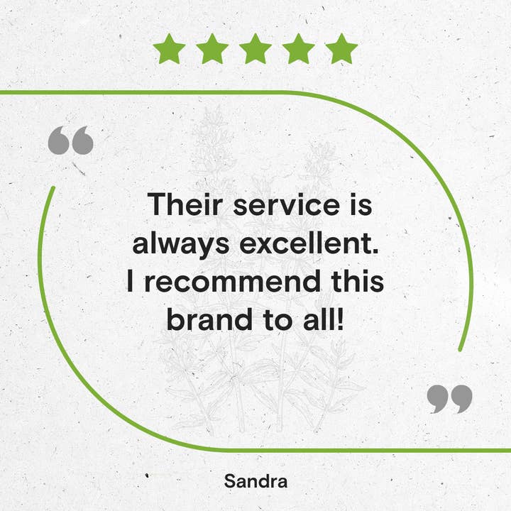 Secrets Of The Tribe - Vendita all'ingrosso Tinture - Tintura di issopo10