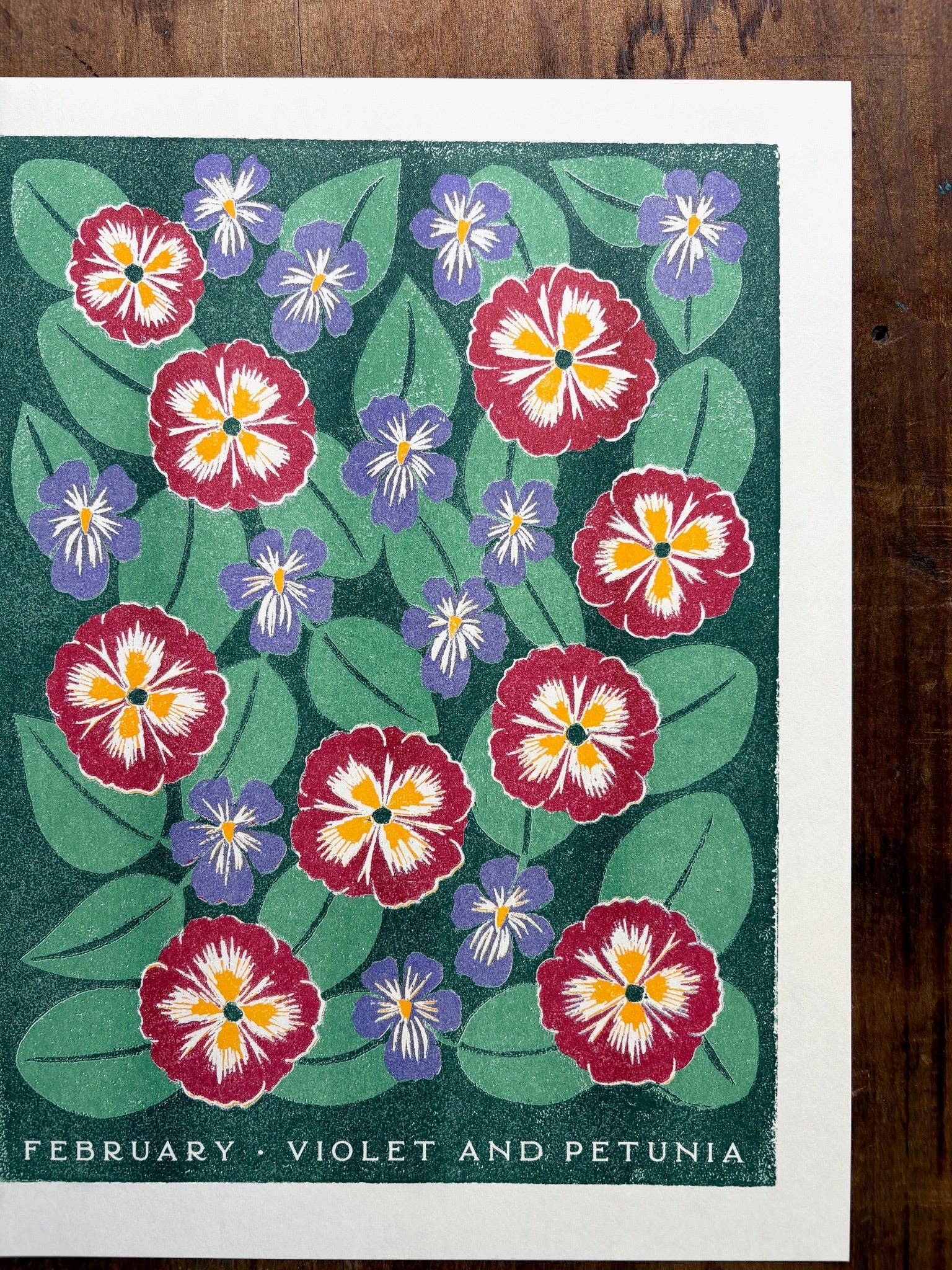 Katharine Watson - Venta al por mayor Ilustración - Impresión Risográfica de Flores del Mes de Nacimiento: Febrero4