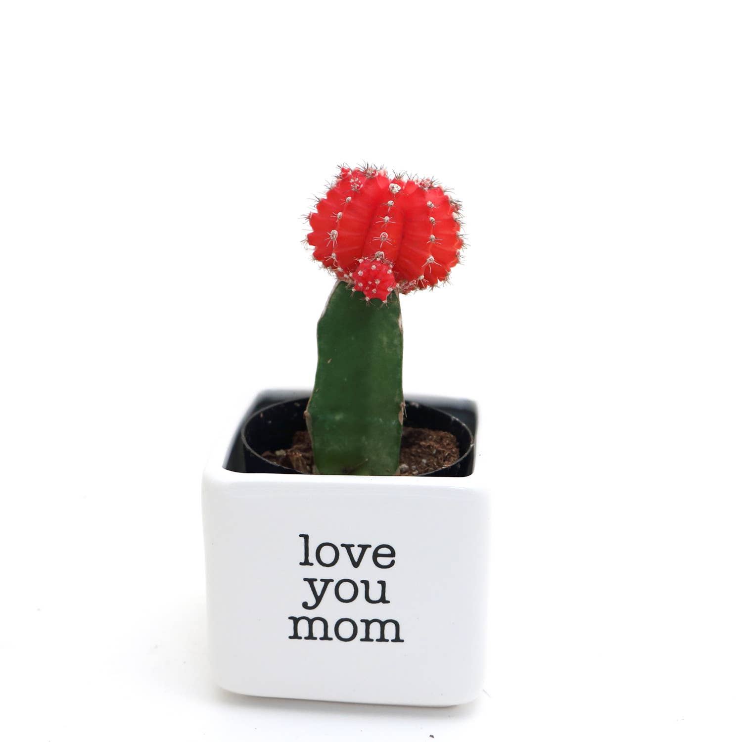 Lenny Mud – wholesale Plant pot – Love you mom, mini planter or succulent pot. Mother's Day2