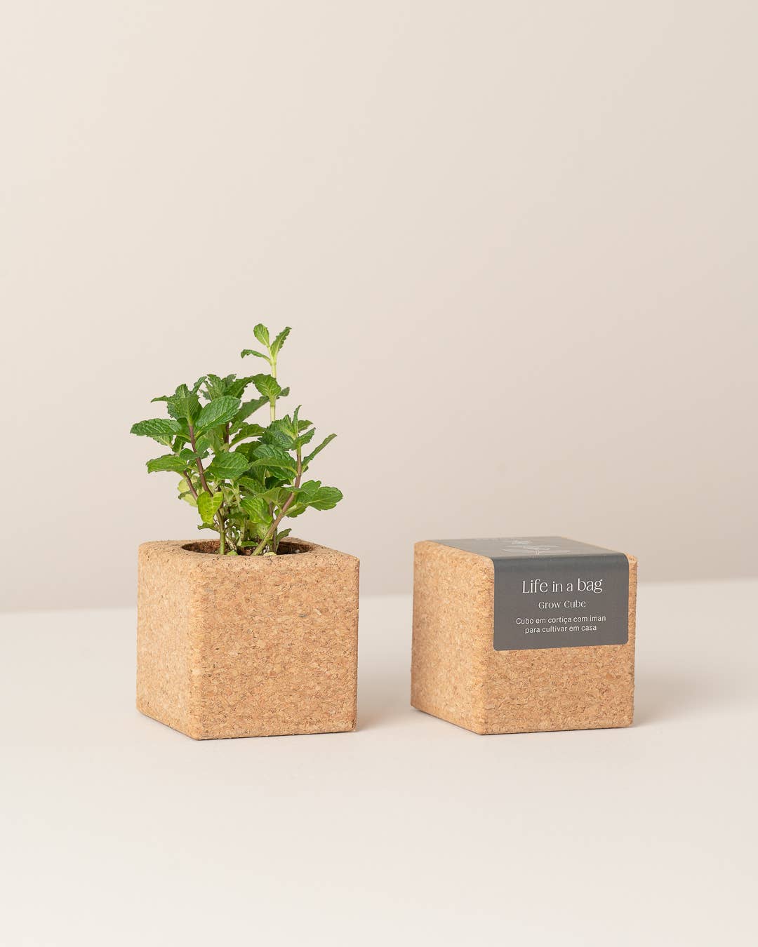 Life in a bag - Wholesale Plant Pot - Grow Cube Mint