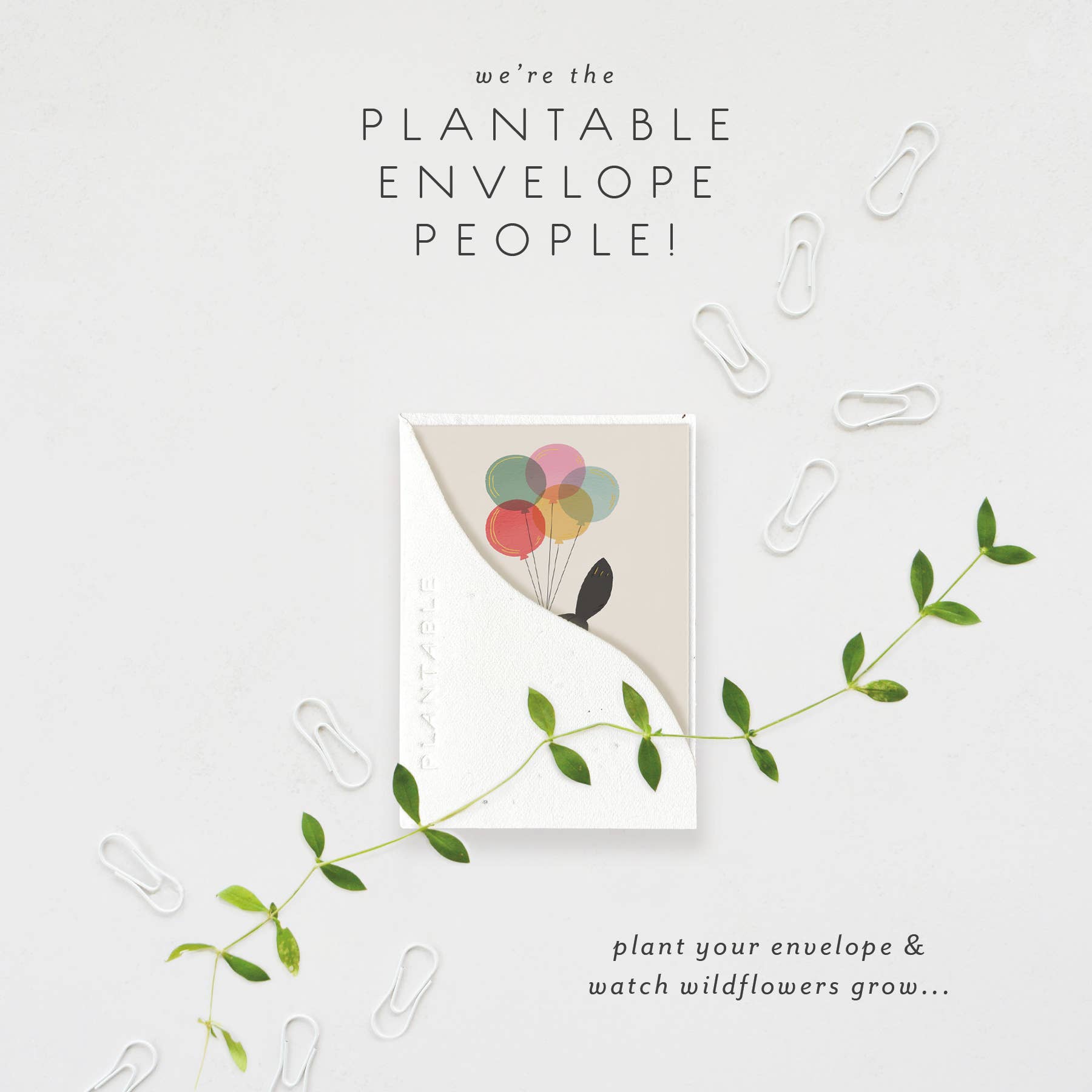 Seedlings - Wholesale Birthday Card - Birthday Kitty Sprout - B'day Mini Greeting Card 2.5" x 3.5"1