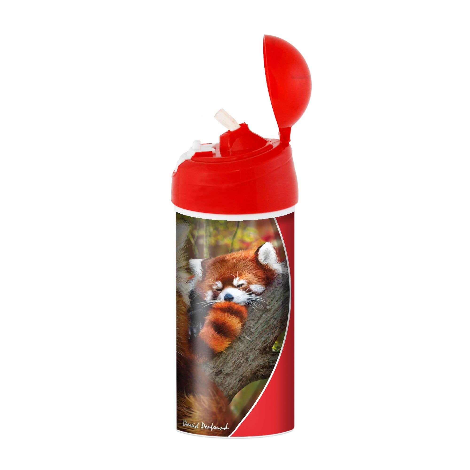 Deluxebase - Wholesale Water Bottle - 3D LiveLife Bottles - Baby Red Panda1