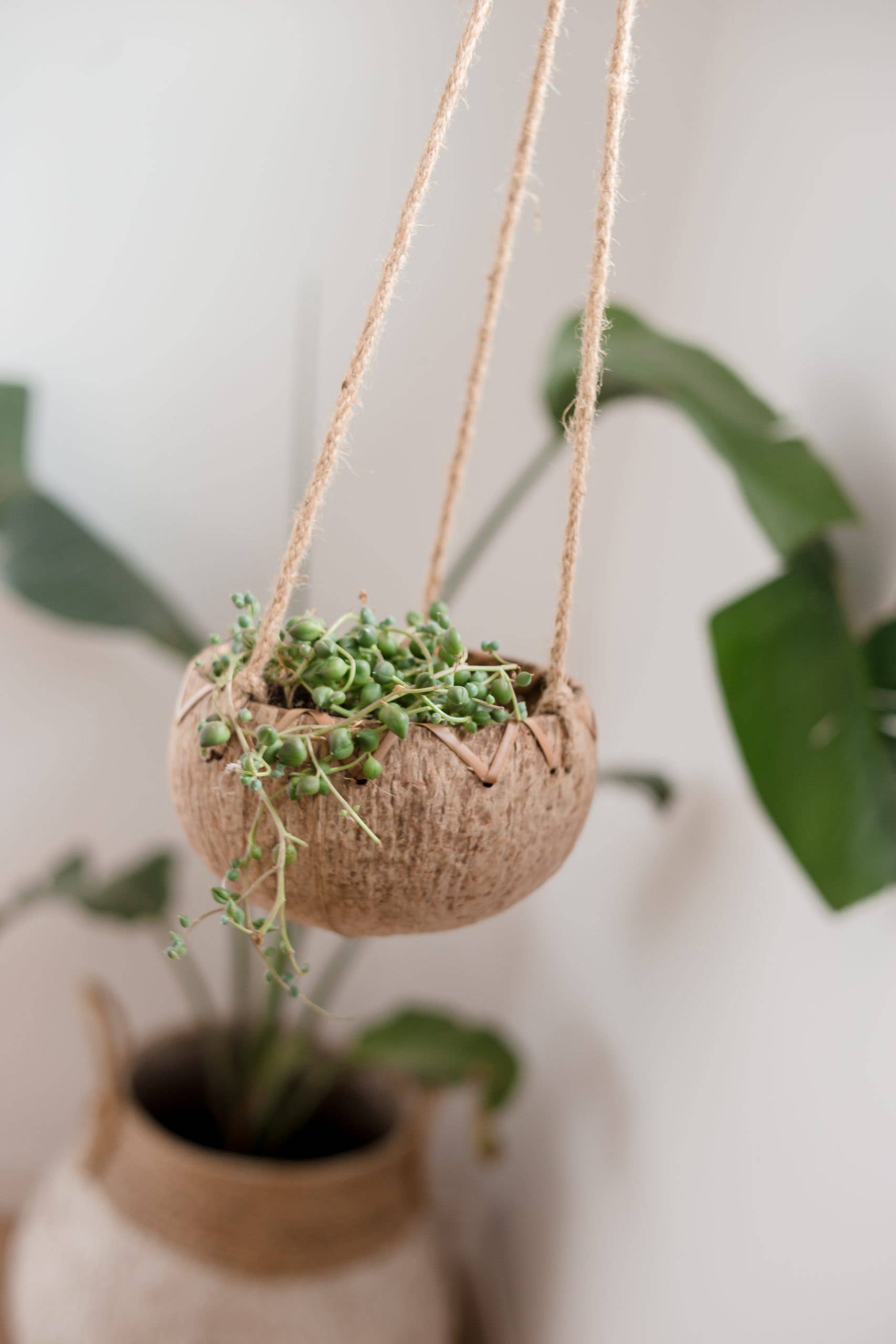 Q Home Australia - Wholesale Hanging planter - Coconut classic hanging pot1
