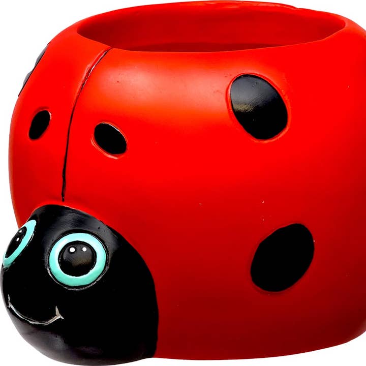 Spoontiques, Inc - Wholesale Plant Pot - Ladybug Flower Pot