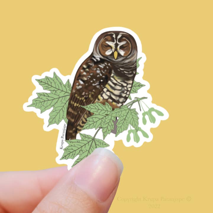 Spotted owl bird vinyl die cut sticker for wholesale by Krupa Paranjape