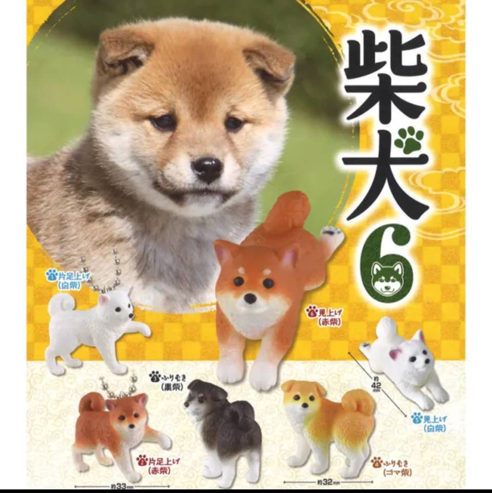 Pop Cutie Accessories & Gifts – wholesale Gag gift/novelty gift – EPOCH Japan Import Gachapon Capsule Shibu Inu Figurine 1