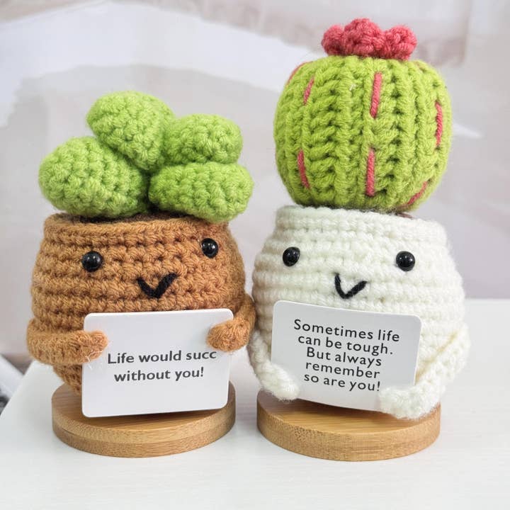Anh2 LTD - Wholesale Decorative Tabletop Object - Crochet Succulent Cactus Plant, Life Would Succ Without You3