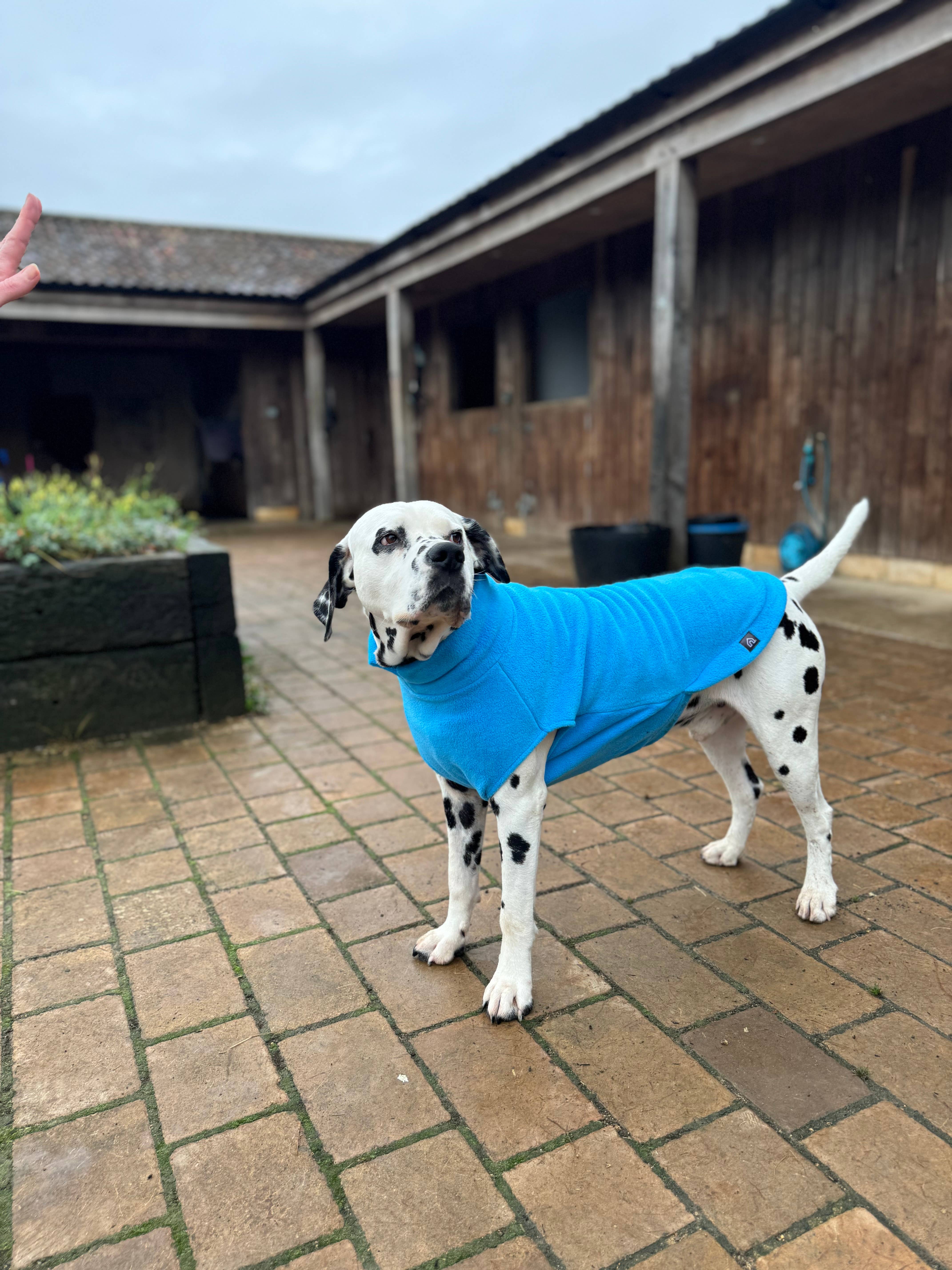 Doghouse – wholesale Tröja - Hund – Hundtröja i fleece för stora raser11