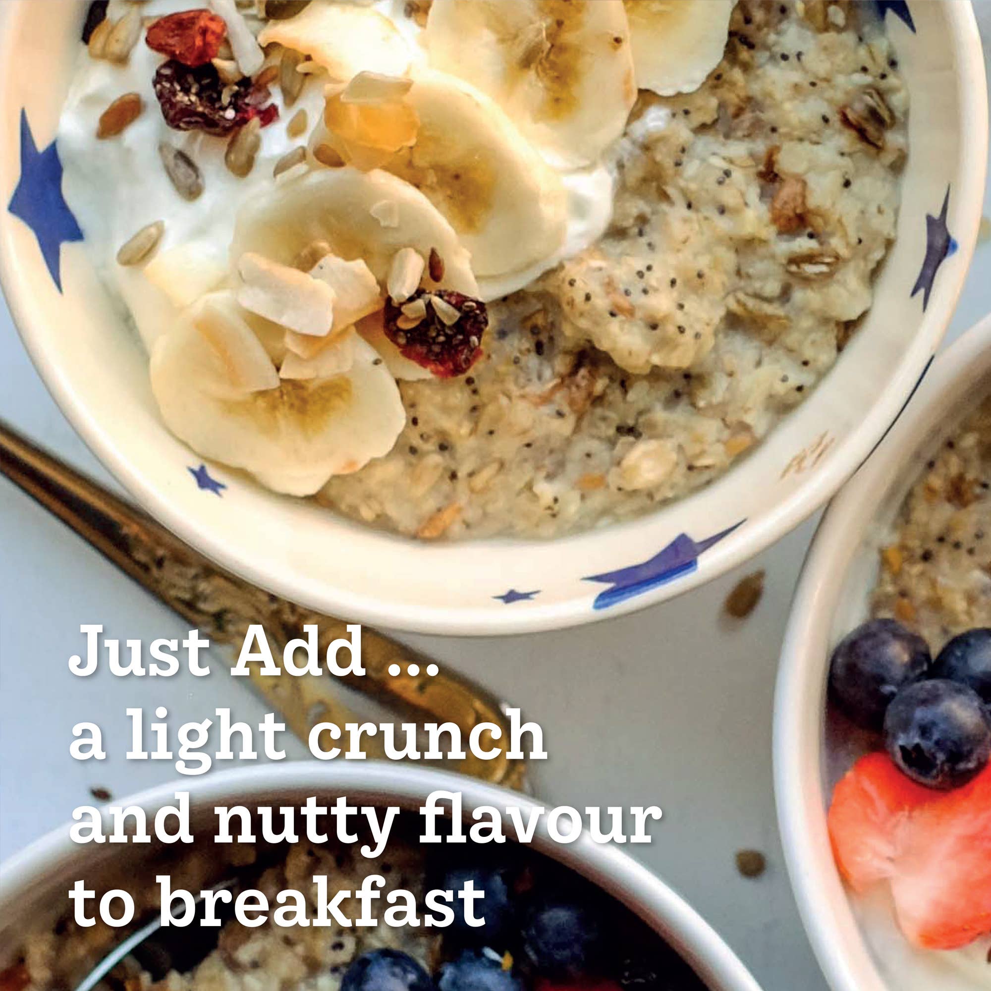 Munchy Seeds – wholesale Dried/dehydrated fruit – Lightly Toasted Seven Seed Mix7