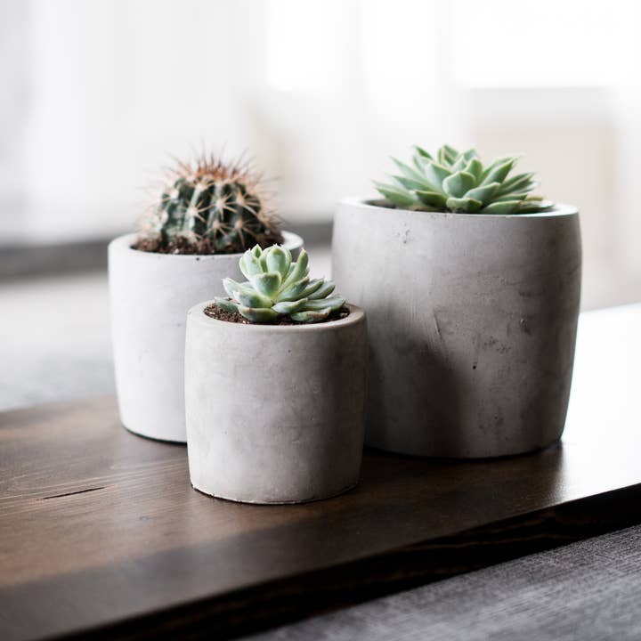 Concrete Planter - Set of 3 for wholesale by Made by Deborah