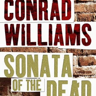 Boon Books - Wholesale Thriller & Suspense - Social Work Practice for Intellectual Disability Change