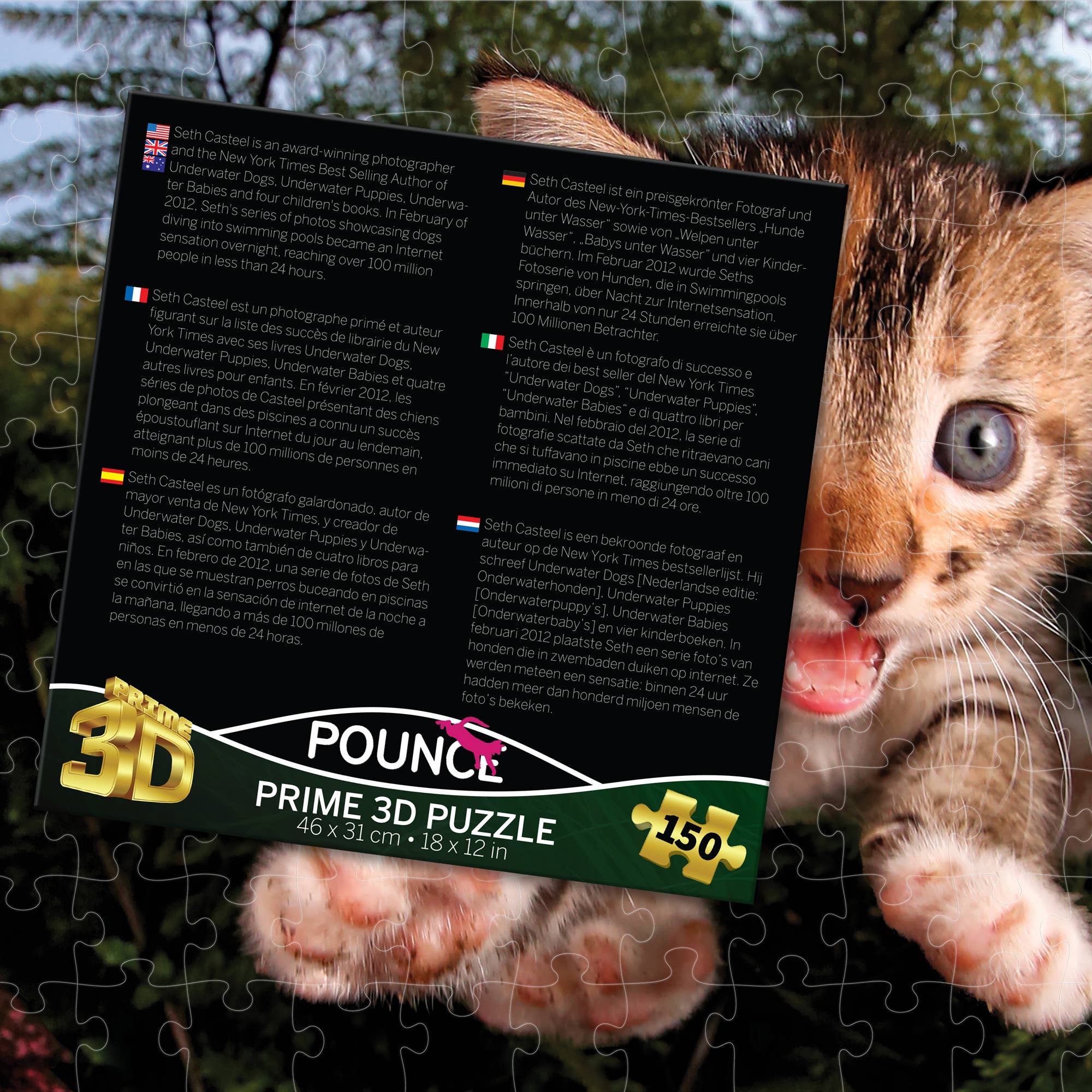 Primemotion, Inc - Wholesale Puzzle - Kids - Pounce Fuzzbucket   150pc 18x12"1