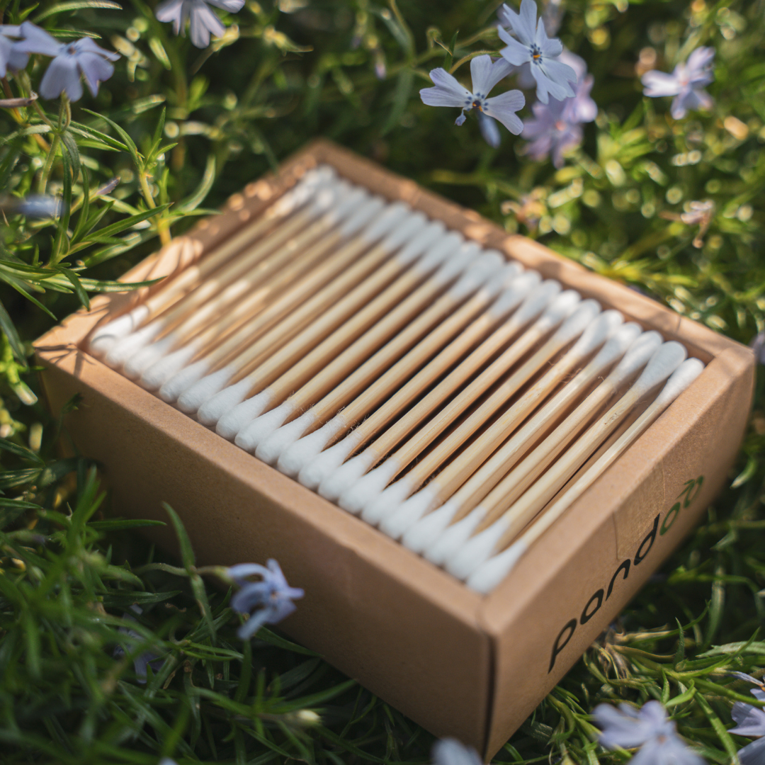 Pandoo - Wholesale Cotton Swab/Q-Tip - Bamboo cotton swabs with organic cotton | 200 pieces9