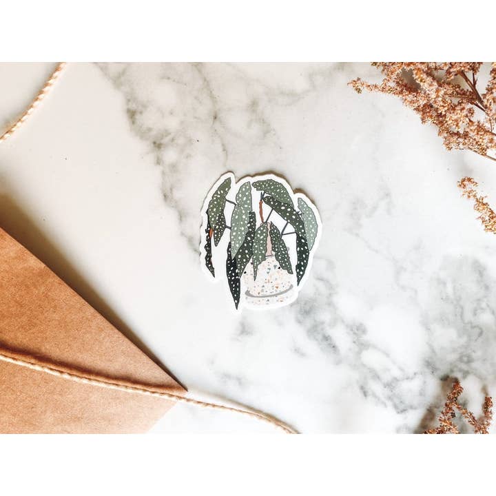 Begonia Sticker - Dishwasher Safe for wholesale by Kara Eads Creates