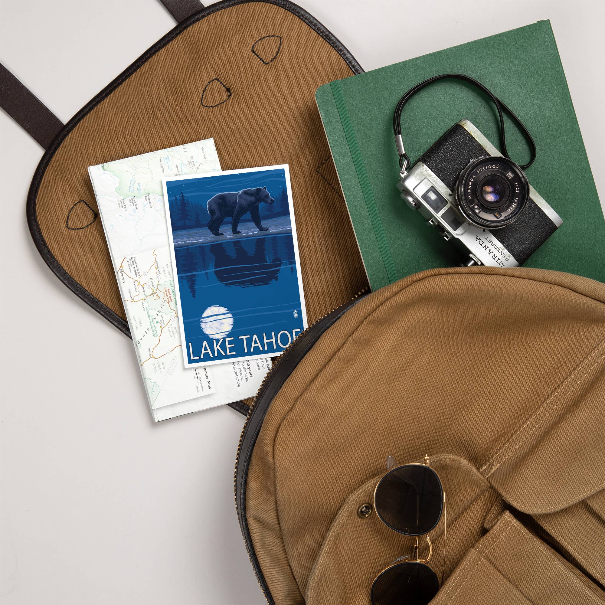 Lantern Press - Vendita all'ingrosso Cartoline - CARTOLINE PREMIUM Lake Tahoe, California, orso di notte5