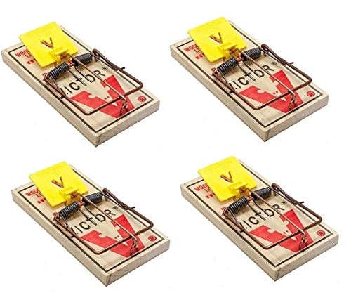 RodenticideCanada.com – wholesale – Victor Rat Traps M326 (4-pack)
