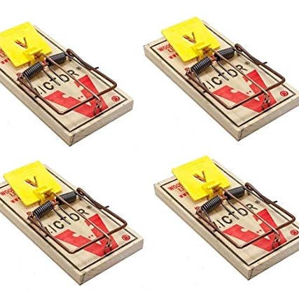 Victor Rat Traps M326 (4-pack) for wholesale by RodenticideCanada.com