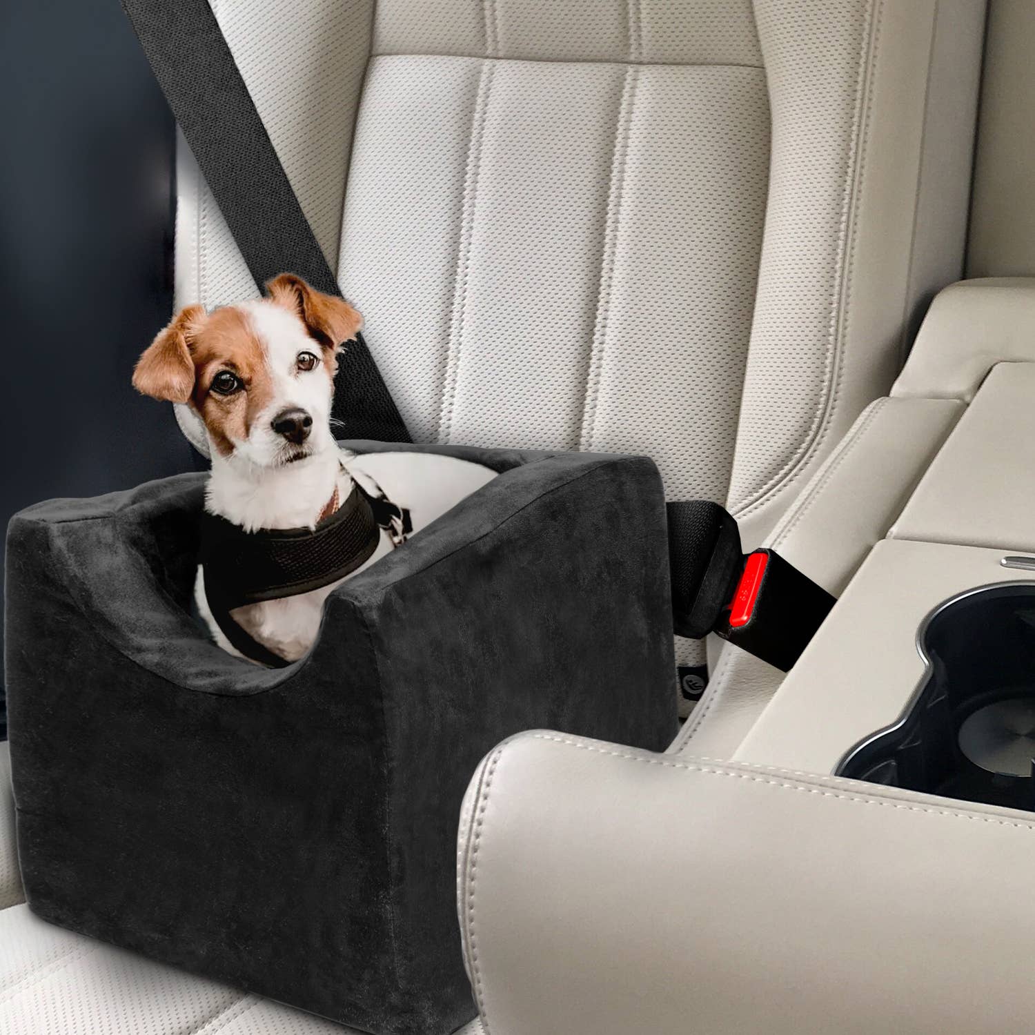 Precious Tails - Wholesale Pet Carrier - Cat/Dog - Precious Tails High Density Foam Pet Booster Seat68