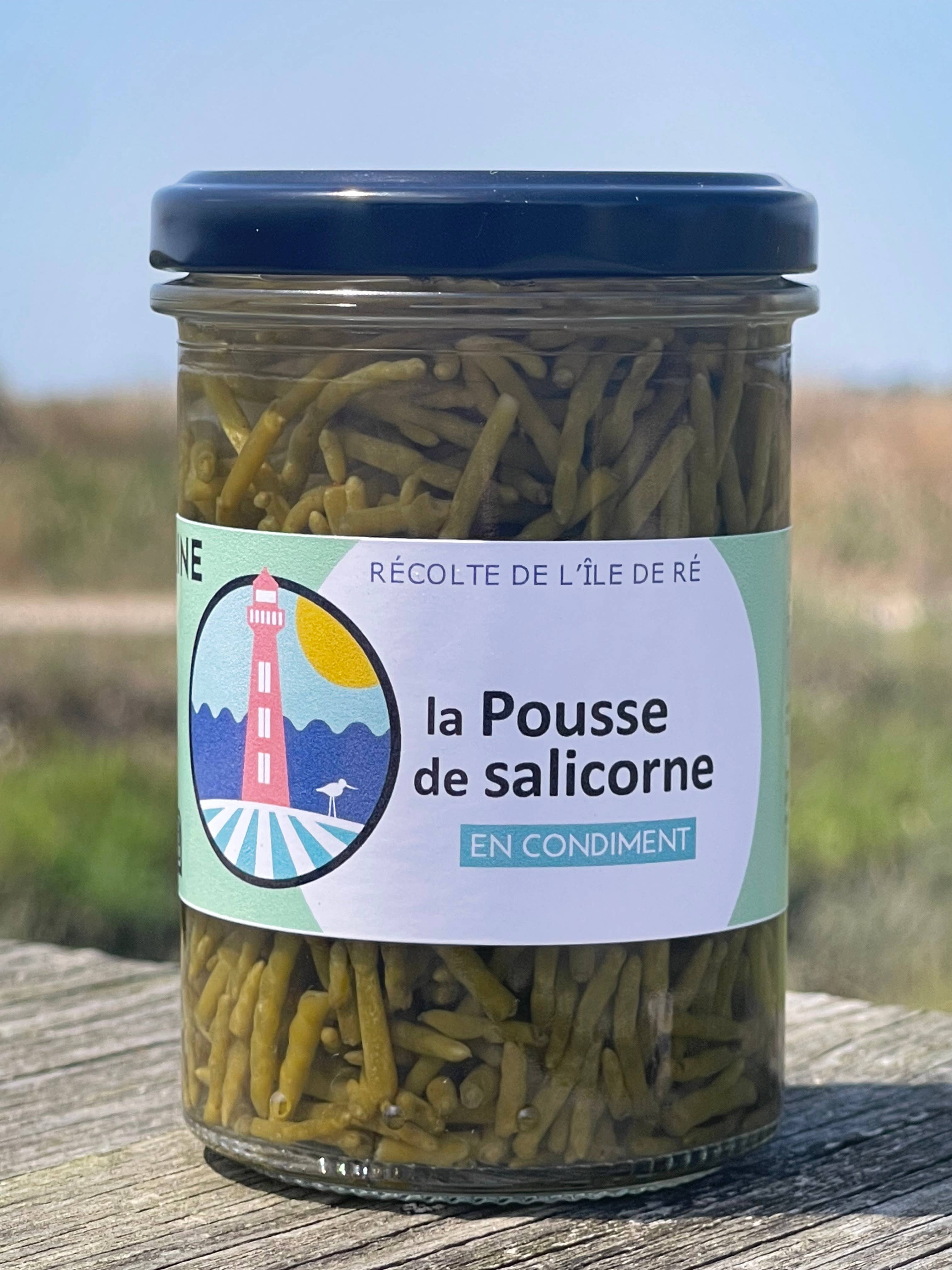 Terre Saline – wholesale Pickled vegetables – Samphire sprout in organic condiment 80g