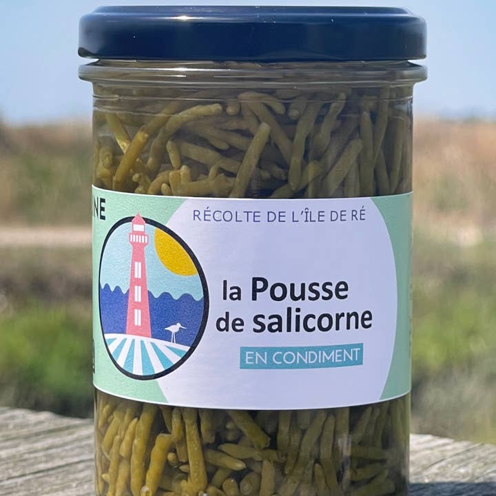 Terre Saline – wholesale Pickled vegetables – Samphire sprout in organic condiment 80g0