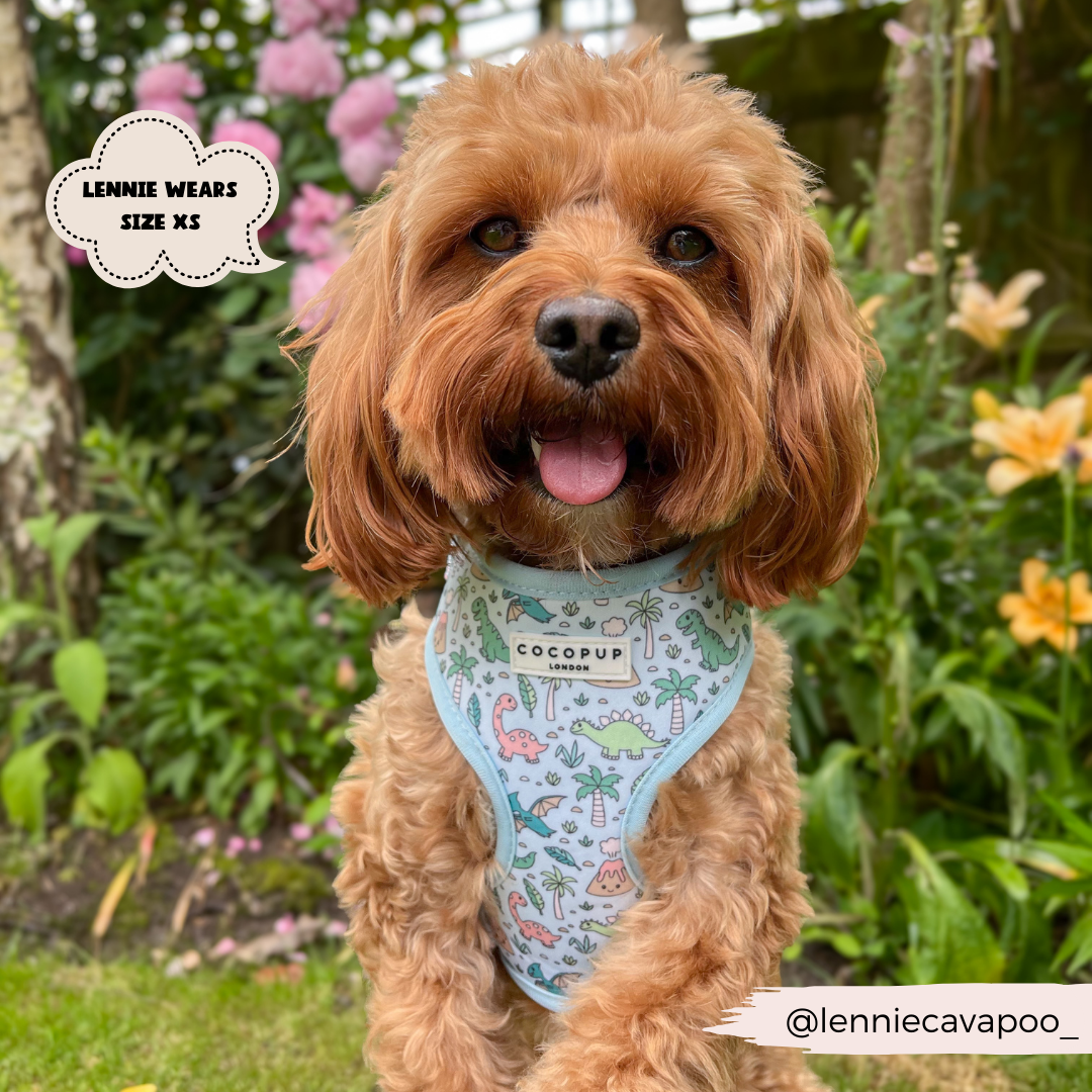 Cocopup London - Venta al por mayor Arnés - Perros - Arnés ajustable para cuello Dinopaws16