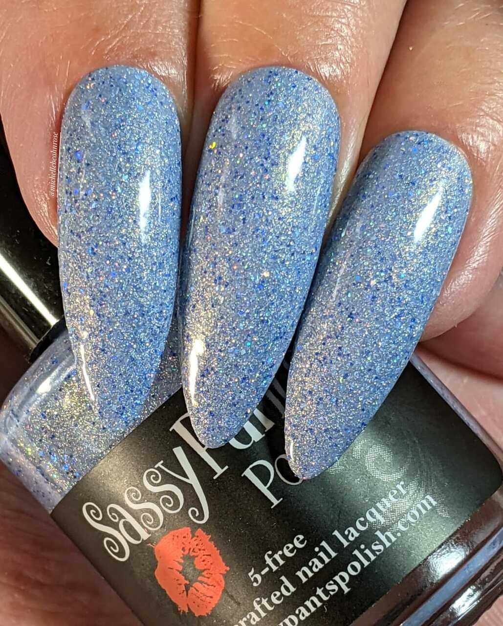 Sassy Pants Polish - Wholesale Nail Polish - Delphinium Delight11