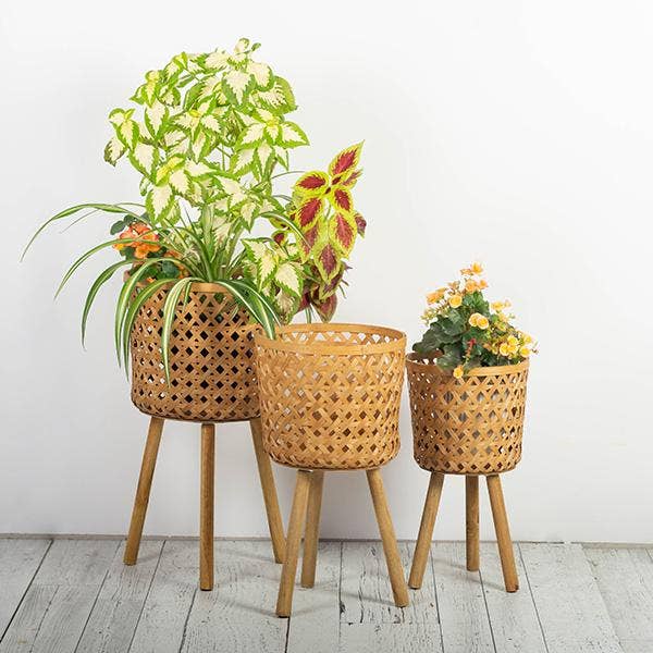 Forpost Trade Inc - Wholesale Plant Pot - Natural Bamboo Planters, Set of 31