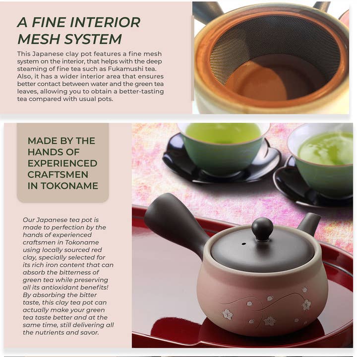 Japanese Green Tea Co. - Vendita all'ingrosso Teiere - Tokoname Yaki Kyusu teiera da 270 cc per tè Fukamushi23