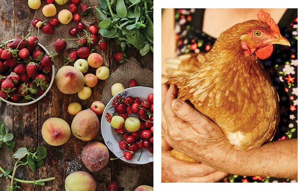 Independent Publishers Group - Wholesale Cookbooks & Food - Cyprus Cuisine1