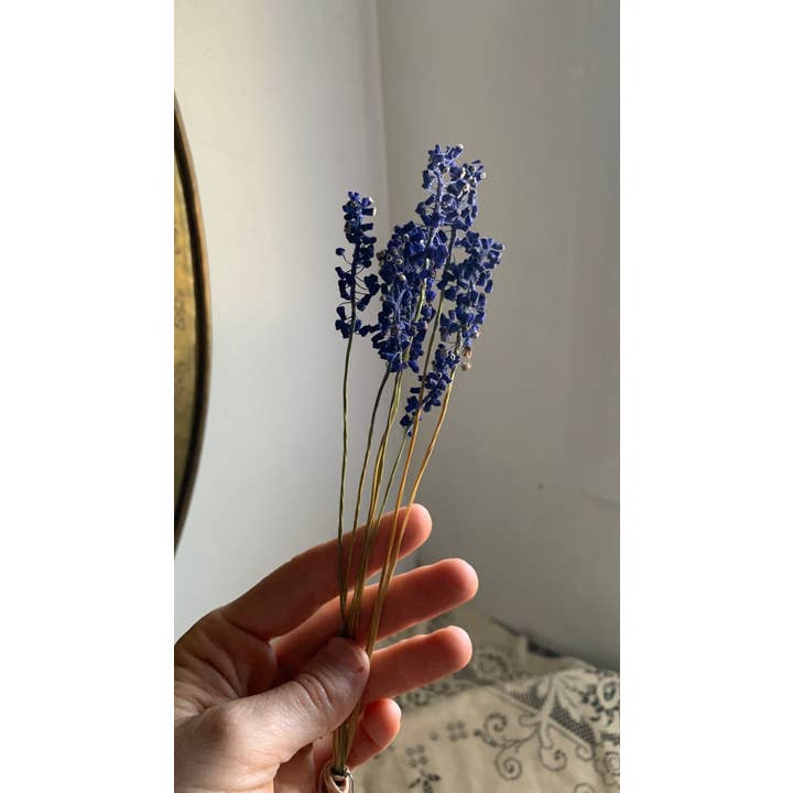 Twig and Snip - Wholesale Dried/Pressed Flowers - Dried Blue Grape Hyacinth Flowers - Natural Cool Tones
