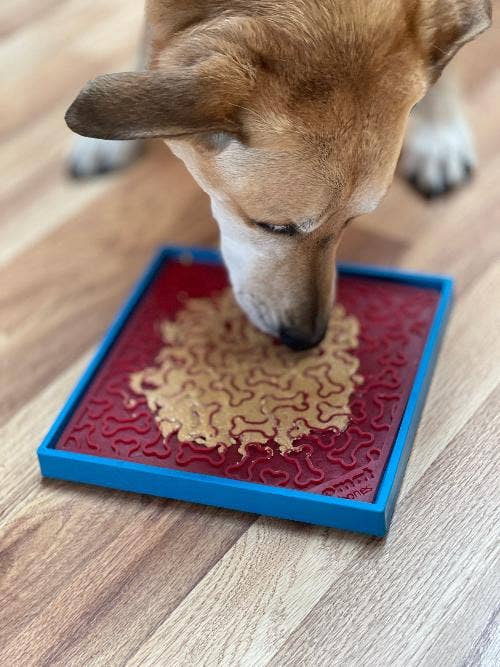 Light Blue Hold 'em Suction Cup Holder for eBowls, eTrays, and eMats for wholesale on Faire12