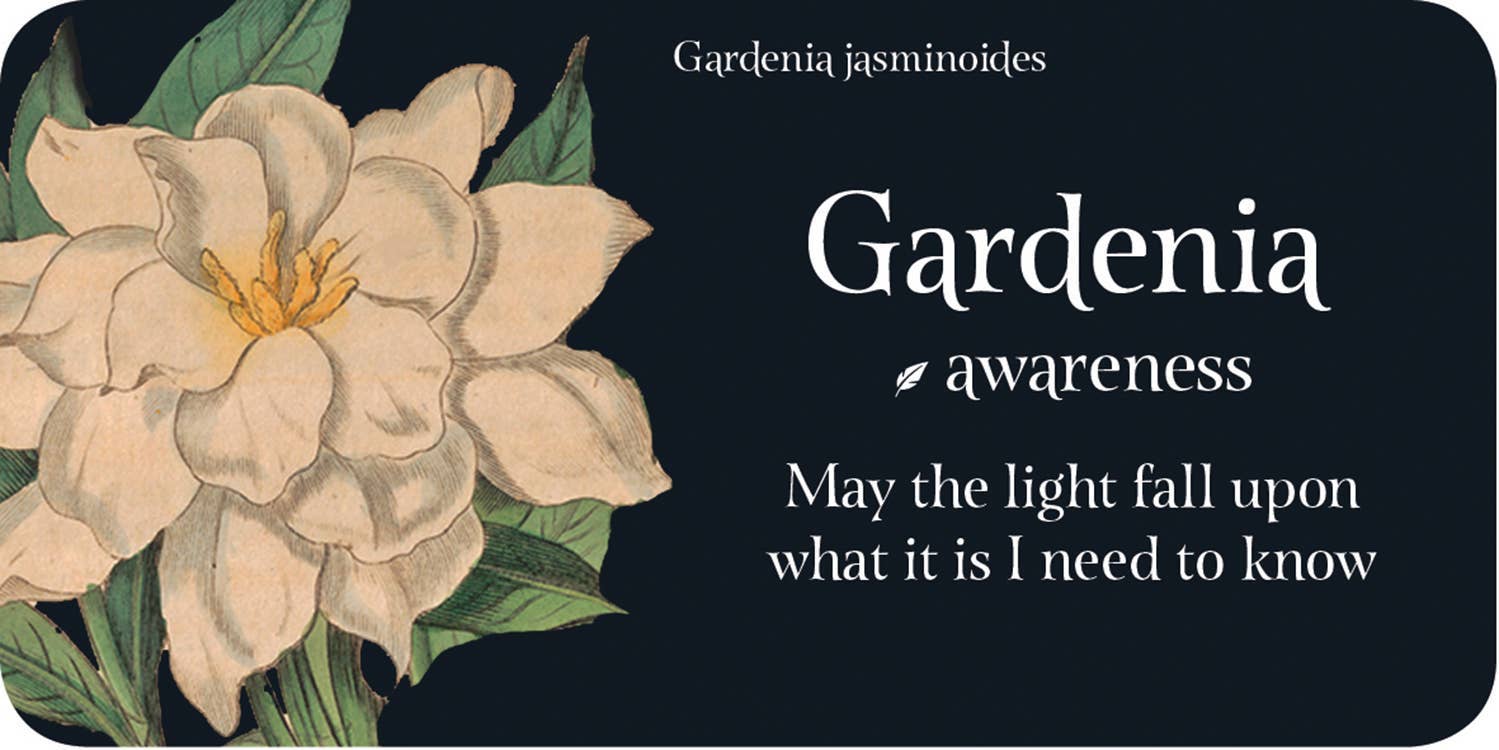 ROCKPOOL PUBLISHING - Wholesale Stationery/notecard set - The Language of Flowers: Mini Inspiration Cards3