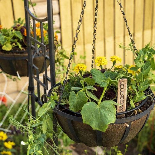 Smart Pots - Wholesale Plant Pot - NoCoco Basket Liner - 14" Assortment1