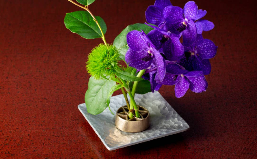 Japacolle — Japan Collections | See Latest News in "About" - Wholesale Decorative Tabletop Object - KAMAHACHI Kenzan Garden1