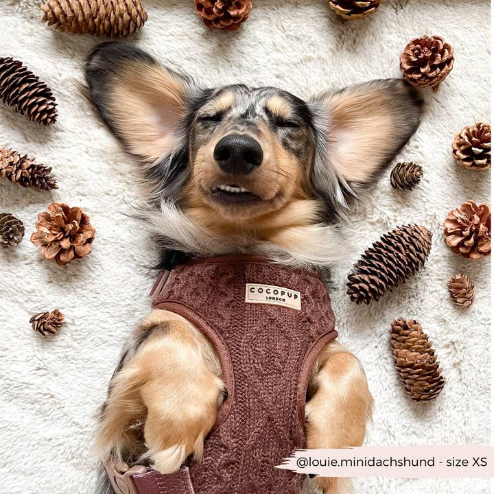 Cocopup London - Vente Harnais – chien - Harnais à col réglable en tricot torsadé couleur chocolat - Hot Coco8