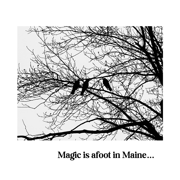 Maine Sea Witch - Wholesale Spiritual Stone/Crystal - Maine Sea Witch Oracle16