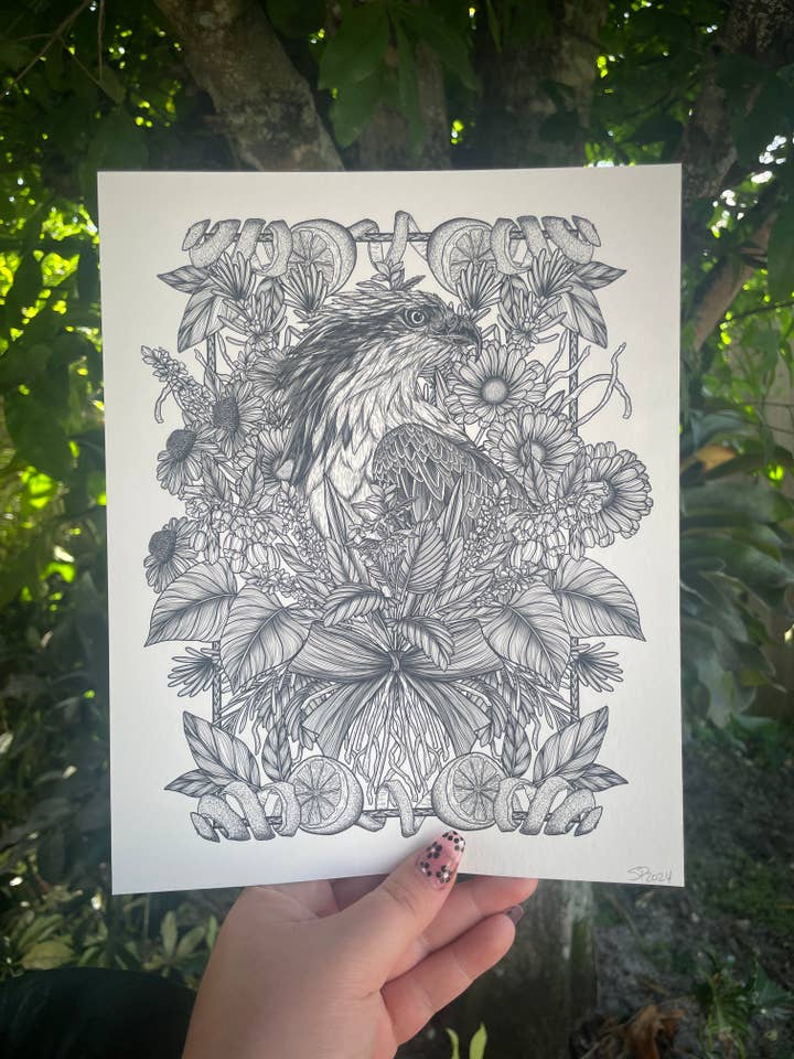 Le Balbuzard pêcheur pour la vente par Strat Lacy Art