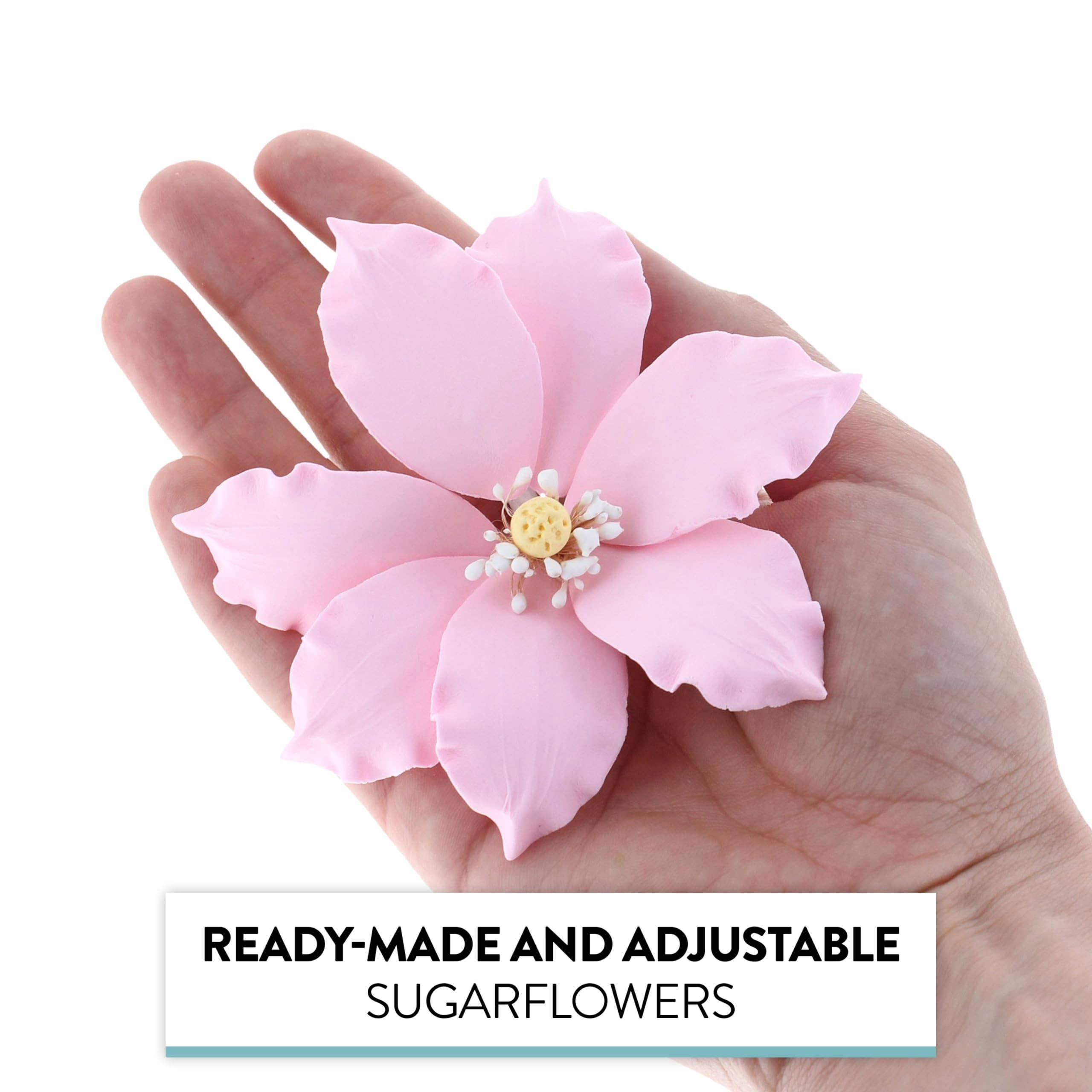 Global Sugar Art - Wholesale Taart/cupcaketopper - Clematis suikerbloemen van gum paste voor taarten door Global Sugar Art, roze, 3 stuks7