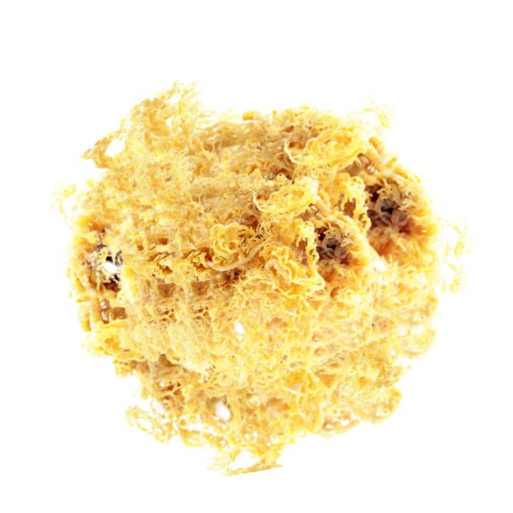 Beauty Gate Cosmetics - Wholesale Oral Supplement/Vitamin - Crave Nutrients Wild-harvested St. Lucian Golden Sea Moss (100% Sun-Dried)1