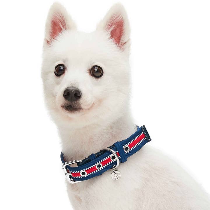 Blueberry Pet – wholesale Halsband - Hund – 3M Reflekterande Randig Hundhalsband – Hållbart & Stilfullt14