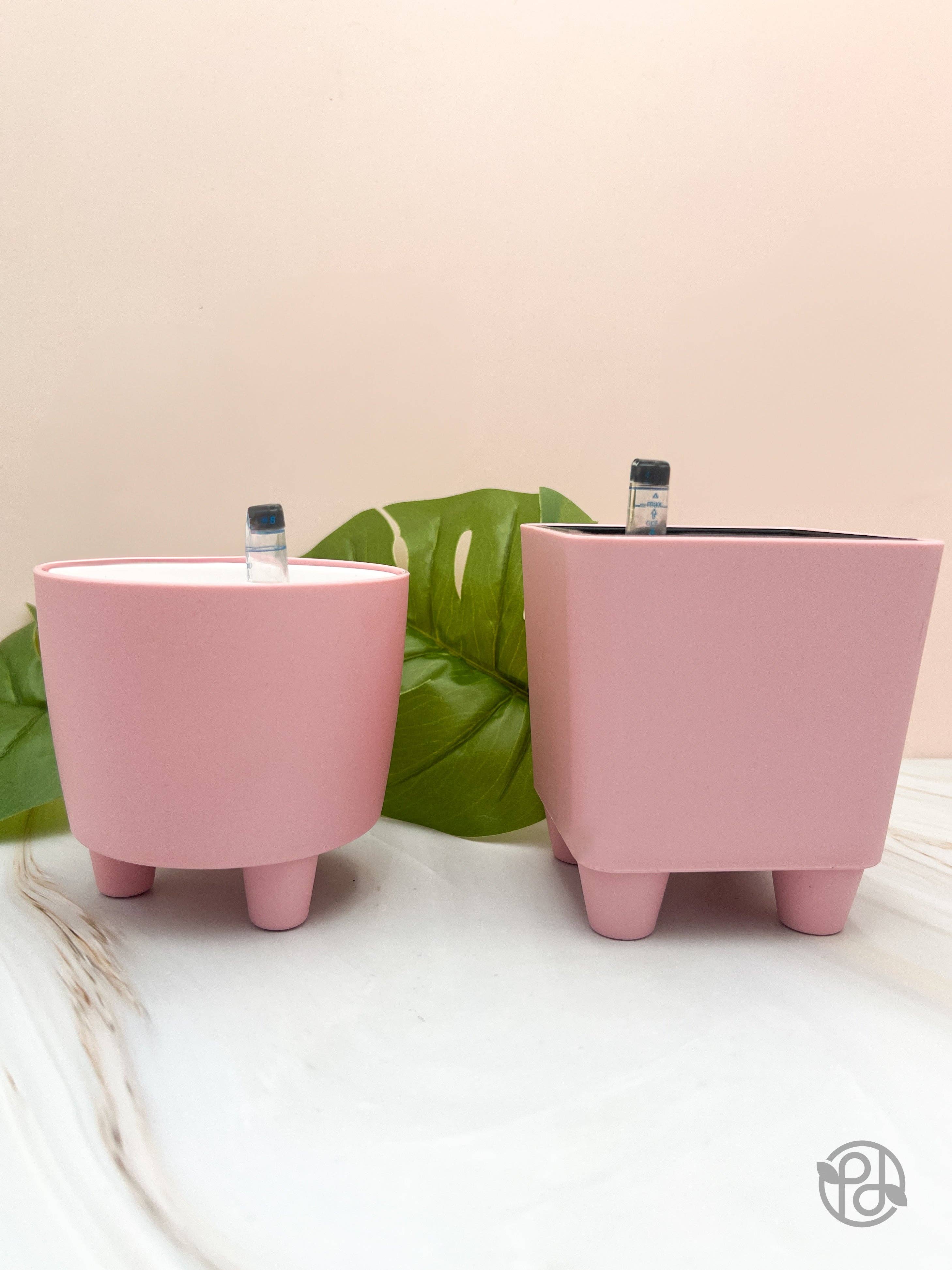 Propagation Diaries - Wholesale Plant Pot - 4" Self Watering Moo Pot8