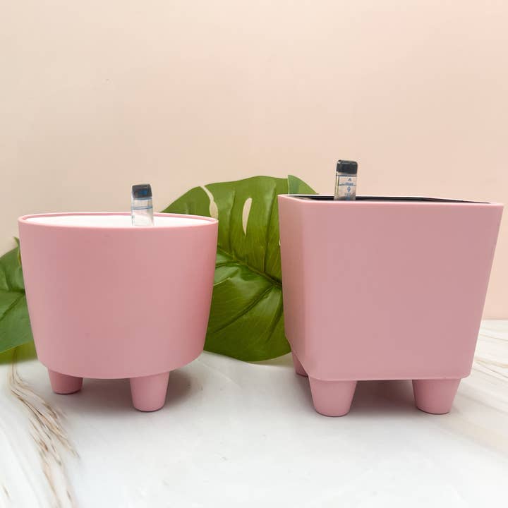 Propagation Diaries - Wholesale Plant Pot - 4" Self Watering Moo Pot8