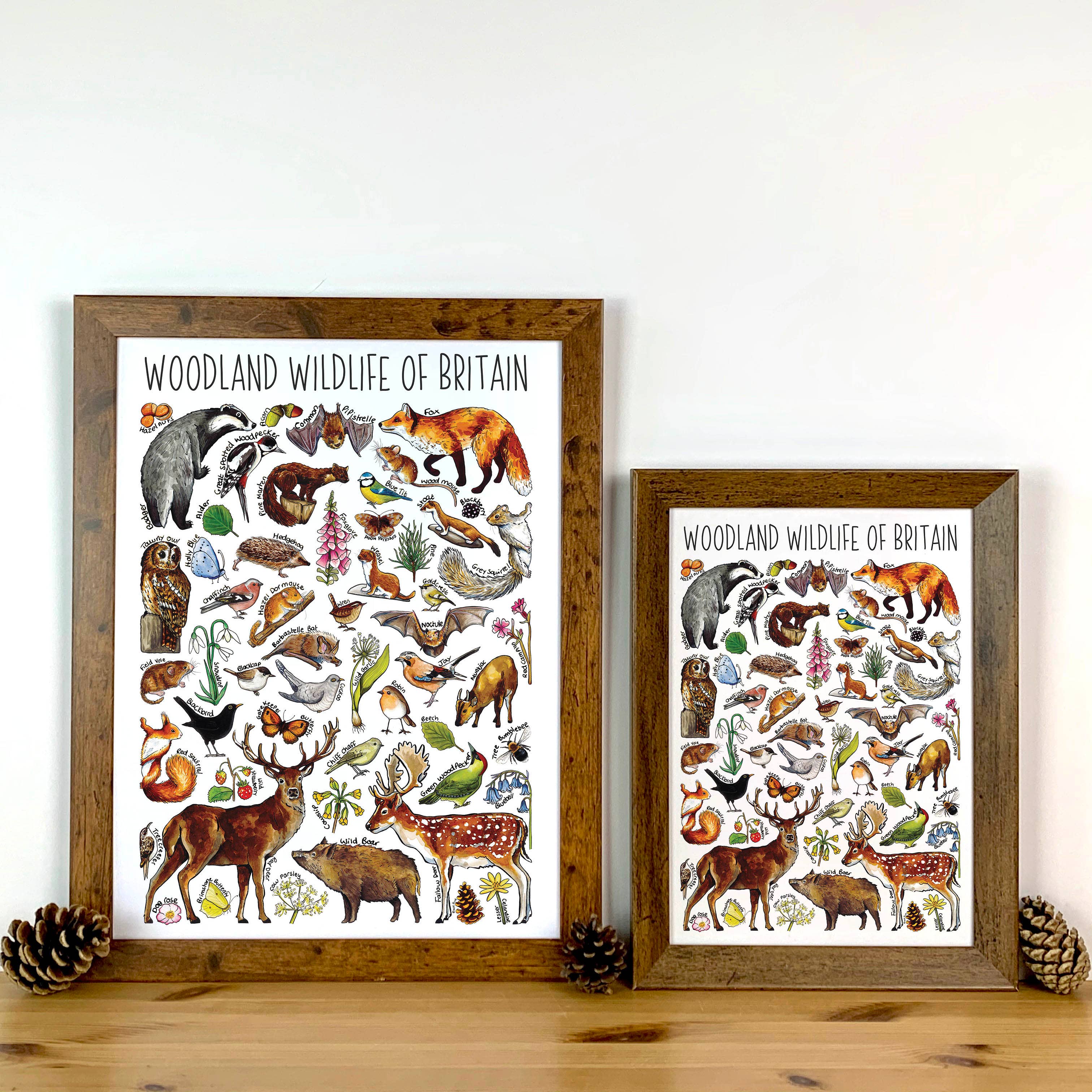 Alexia Claire Ltd - Wholesale Everyday Greeting Card - Woodland wildlife Art Blank Greeting Card3