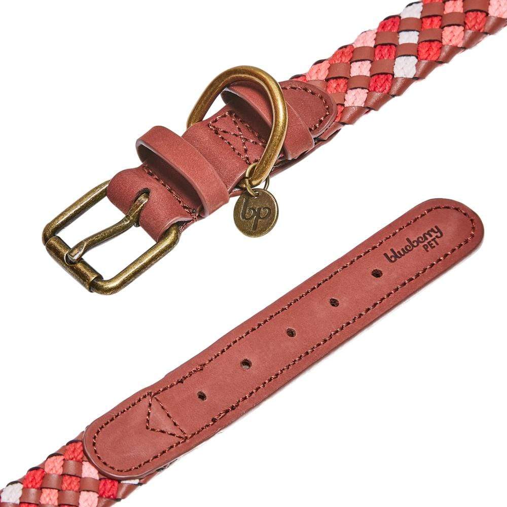 Blueberry Pet – wholesale Halsband - Hund – Flätat hundhalsband i fullnarvat läder, 2 färger16