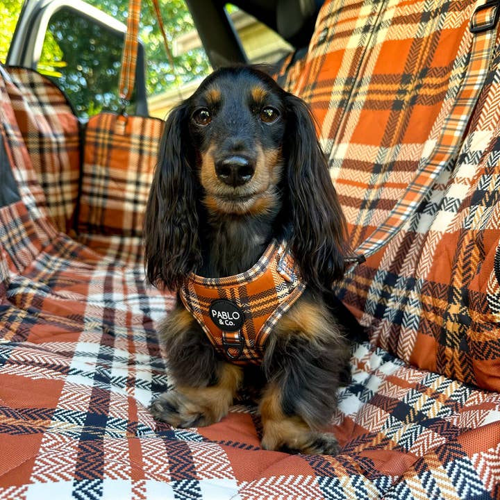 Pablo & Co. Boutique - Wholesale Car Seat Cover - Kids & Baby - Vintage Plaid: Deluxe Hammock Car Seat Cover