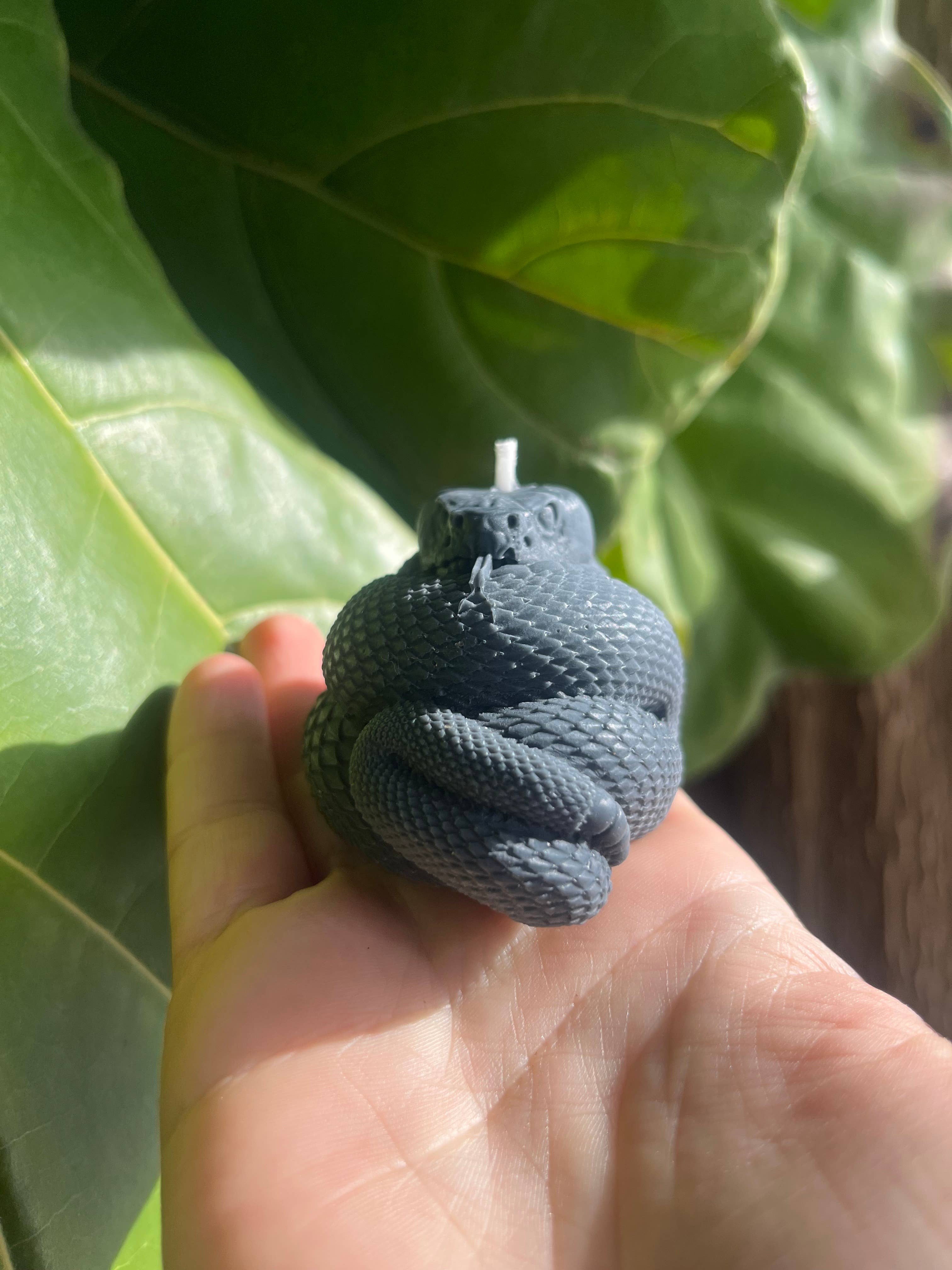 Beauty and the Moon - Wholesale Pillar Candle - Black Snake Candle | Witch Candle | Snake Art | Beeswax Soy 4