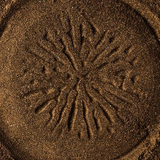 DIRTEA – wholesale Protein/superfood powder – Cordyceps Mushroom Powder Pouch (240g)5