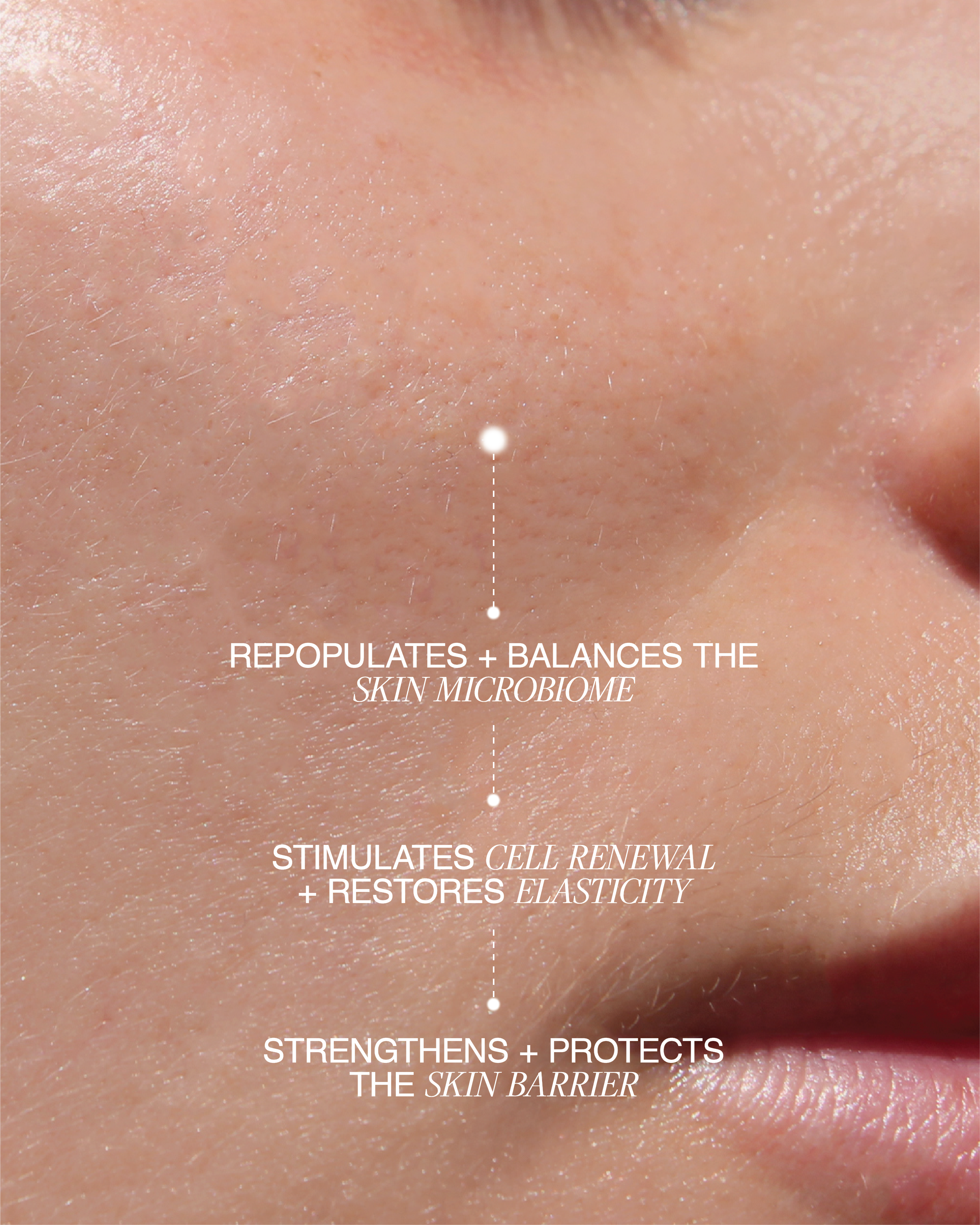 LAPCOS - Wholesale Vochtinbrengende crème voor het gezicht - Biome Boost Cream - Dagelijkse moisturizer met prebiotica, probiotica en marien collageen4