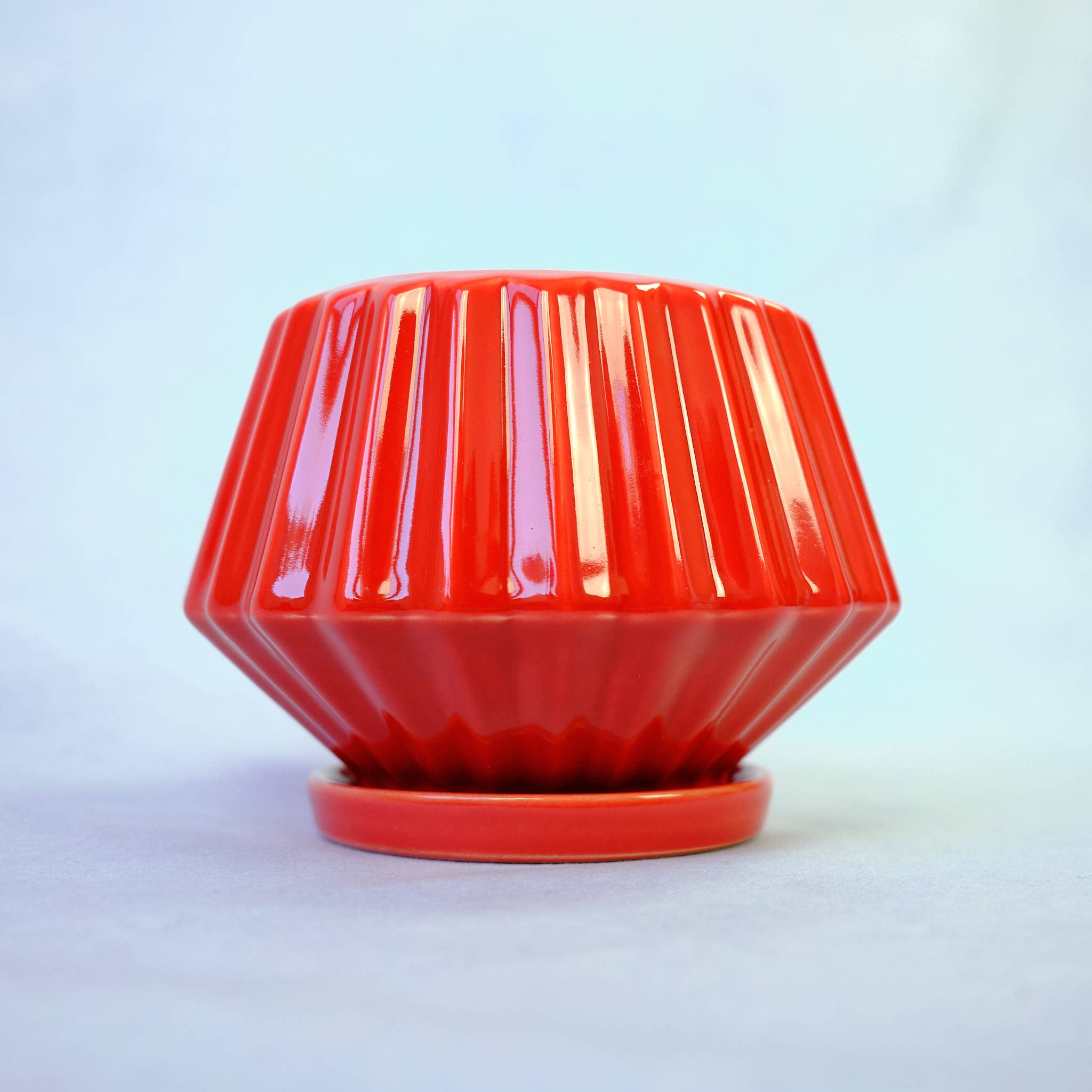 The Green Vibe - Wholesale Plant Pot - Ruby-red pot with saucer