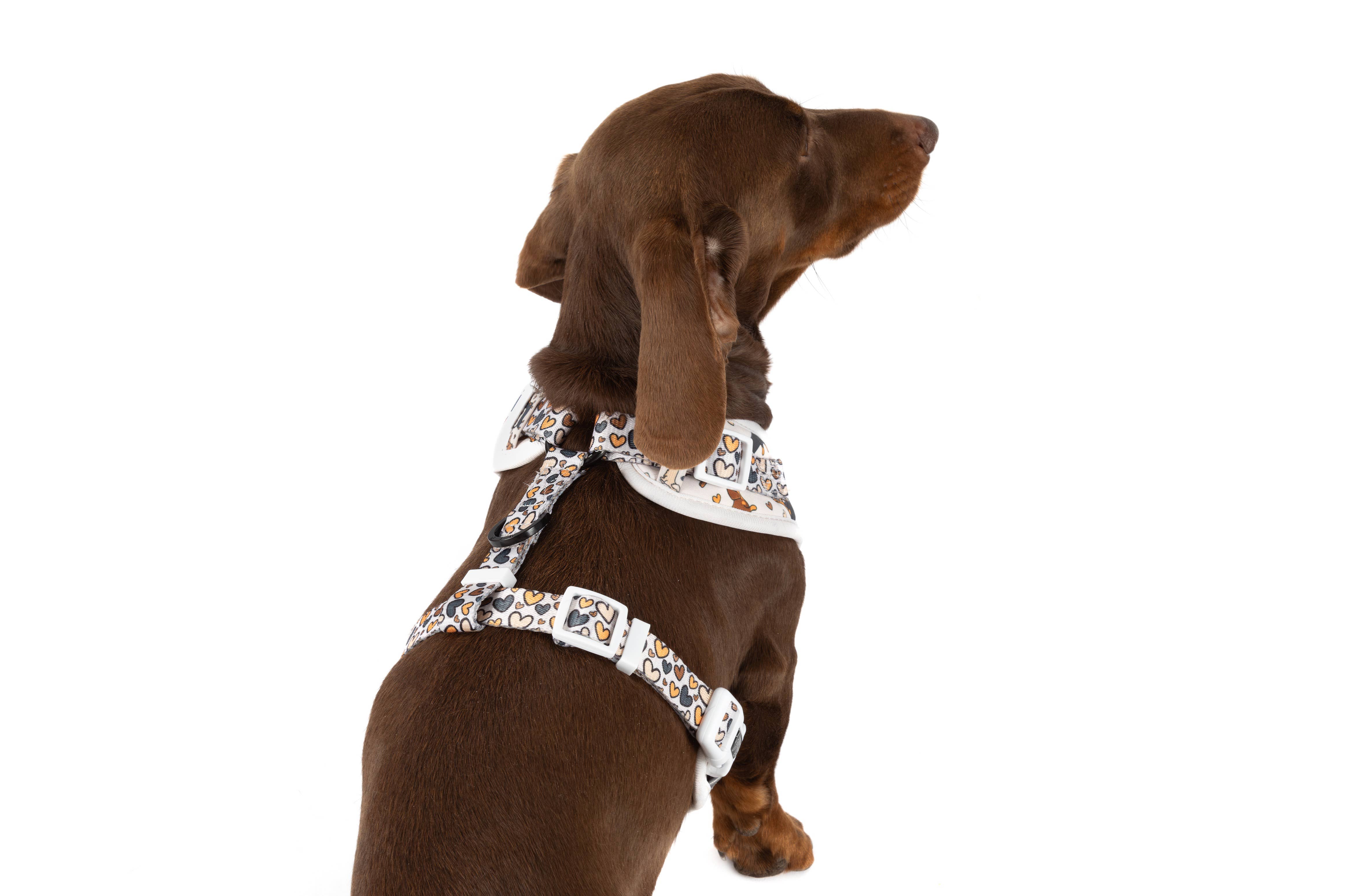 Big and Little Dogs - Wholesale Pet Harness - Dog - ADJUSTABLE DOG HARNESS: Dashie Lovers10
